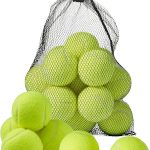 BRAMBLE 15 Pelotas de Tenis (Diámetro 6,5cm) - Bolas de Tenis con Bolsa de Malla de Transporte - Tennis Balls para Entrenamiento, Juego y Diversión