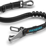 Iokheira cinturón de Seguridad para Perros, cinturón de Seguridad para Mascotas y Accesorio de Barra de Cierre con mosquetón Giratorio con Cerradura (Negro)