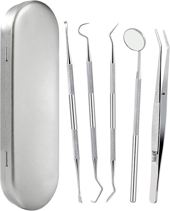 Zeayebsr 5pcs Kit de limpieza higiene dental de acero inoxidable premium, limpiador de placa, removedor de sarro, con estuche, apto Adultos niños y mascotas，limpiador sarro dental，limpieza dental