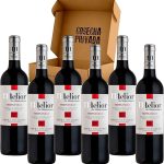 Matarromera - Envío 24 H - Caja Regalo - Ribera del Duero - Cosecha Privada (6 x Botella 75 cl, Melior Tinto)