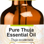 Greenwood Essential - Aceite esencial de tuya (Thuja occidentalis) 100% natural de grado terapéutico extraído mediante destilación por arrastre de vapor, frasco con cuentagotas de cristal, 10 ml