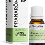 PRANAROM - Menta de Campo Bio - Aceite Esencial Quimiotipado - Digestión - Puro y Natural - HETC - 10ml