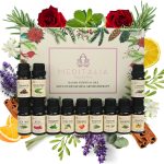 Juego de Aceites Esenciales 12x10ml - 100% NATURALES - MEDITALIA - Lavanda, Jazmin, Limón, Lemongrass, Árbol de Té, Rosa, Naranja, Eucalipto, Menta Piperita, Canela - Set regalo